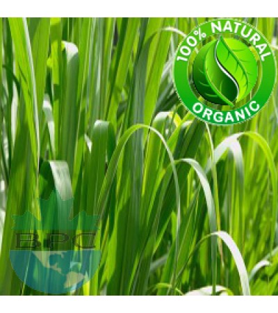 Palmarosa Essential Oil Organic