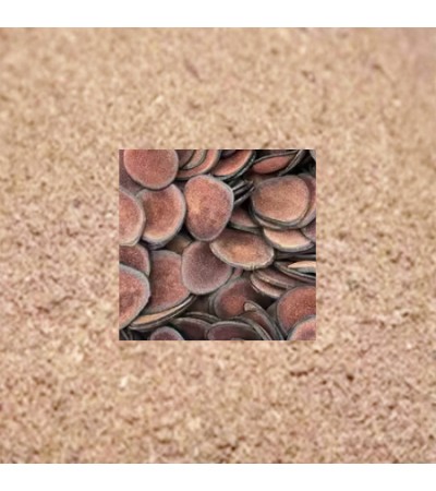 Deer Antler Velvet Powder