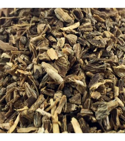 ECHINACEA PALLIDA ROOT CUT & SIFTED