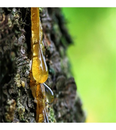 Frankincense Essential Oil (India)