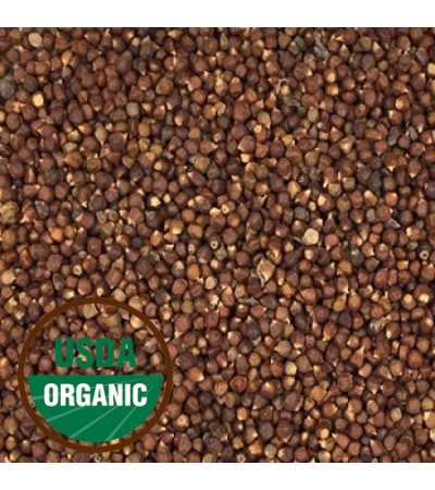 GRAIN OF PARADISE SEEDS WHOLE ORGANIC