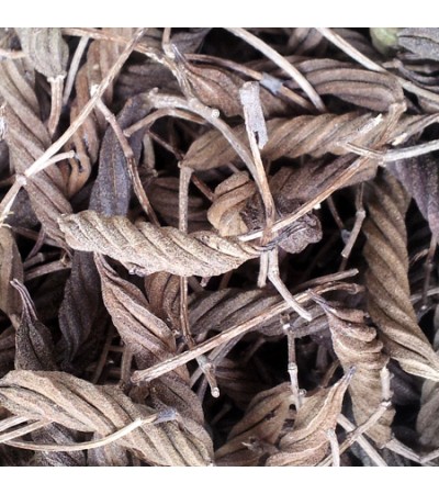 East Indian Screw Tree (MAROR PHALI) Powder