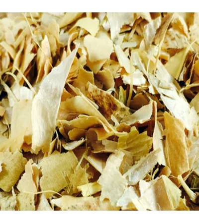 BEAN PODS KIDNEY (FAVA) C/S