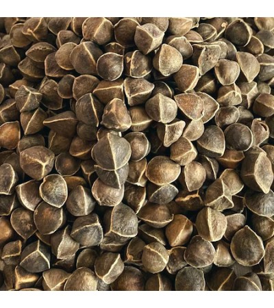 MORINGA SEED WHOLE 