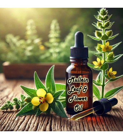 Mullein Leaf & Flower Oil 