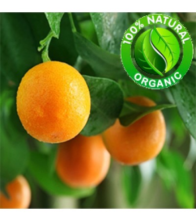 Orange Sweet Essential Oil Organic