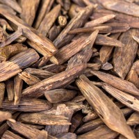 Oud Wood Essential Oil 25%