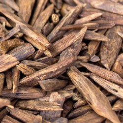 Agarwood OUD Attar 