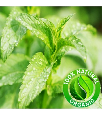 Peppermint Essential Oil Organic
