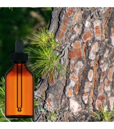 Pine Bark Tincture