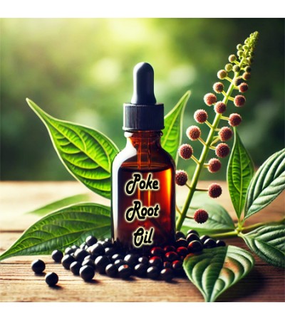 Poke Root Herbal Oil