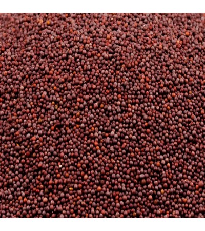 RAI SEEDS WHOLE