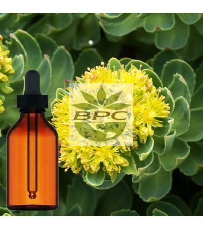 Rhodiola Rosea Root Tincture