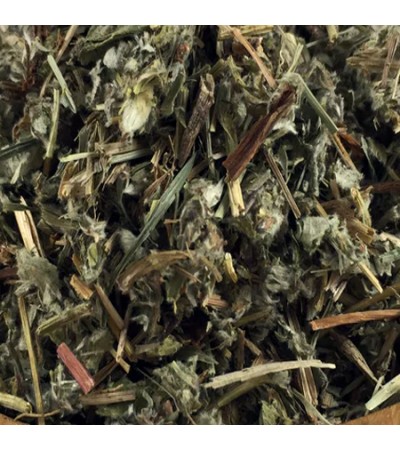 FIVE FINGER GRASS C/S (SILVER WEED HERB)