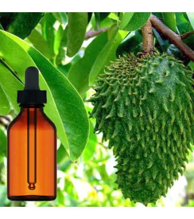 Soursop (Graviola) Tincture