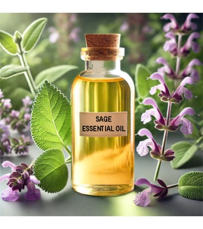 Sage Essential Oil