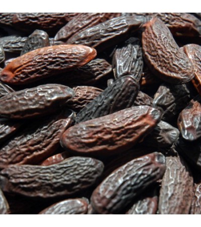 Tonka Bean Absolute Oil