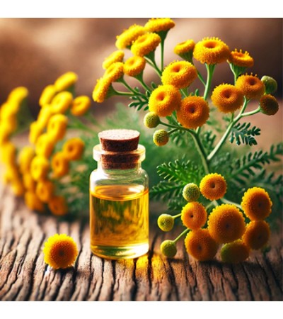 Tansy Blue Herbal Oil