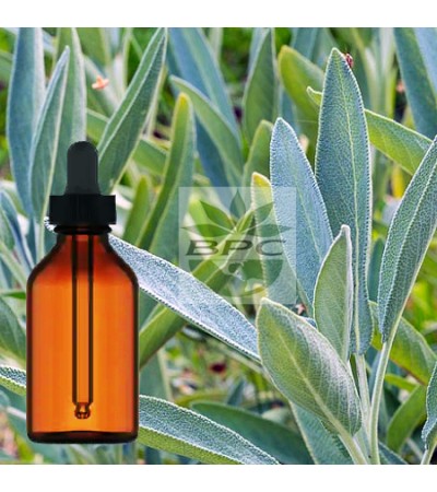 White Sage Tincture