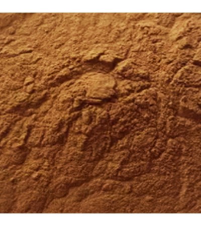 Yerba Mate Powder Extract 4.1