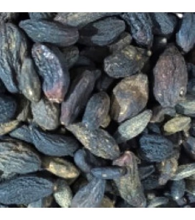 YOUNG HARDE (KALI HARAD) WHOLE