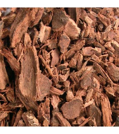 BAYBERRY ROOT BARK C/S