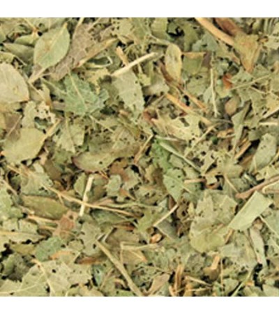 BILLBERRY LEAVES C/S