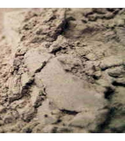 BLUE COHOSH ROOT POWDER