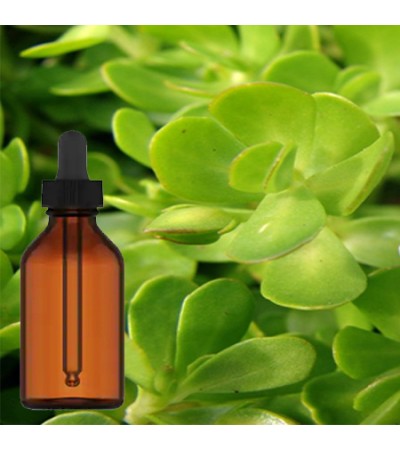 Brahmi Tincture