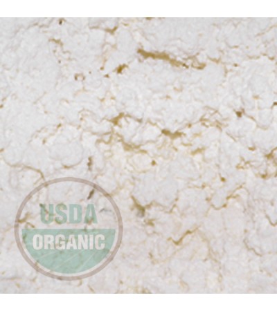 COCONUT MILK POWDER ORGANIC
