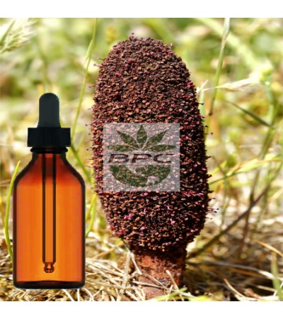 Cynomorium Stem Tincture