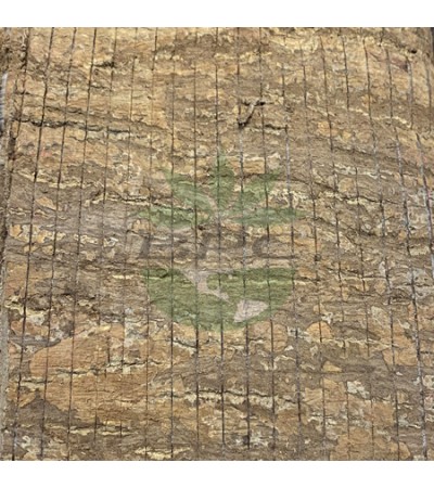 Eucommia Bark (Du Zhong)