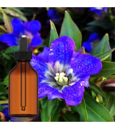 Gentian Root Tincture