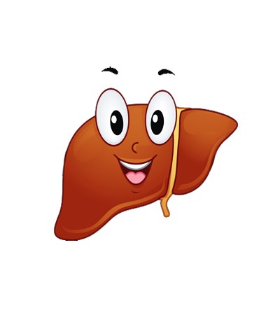 Fatty Liver Detox Tincture 