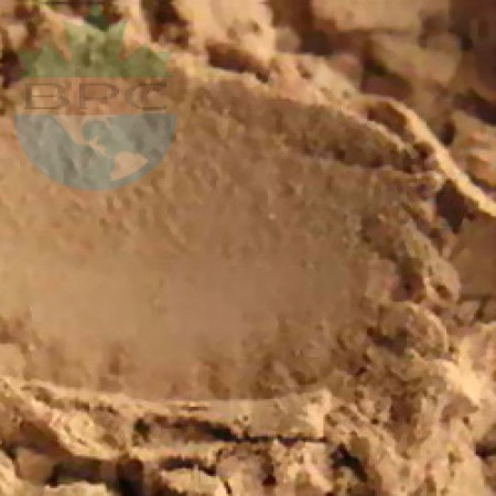 Bacopa P.E. 4:1