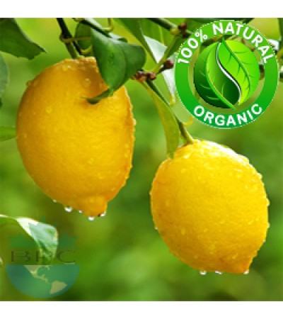 Lemon Essential Oil Organic
