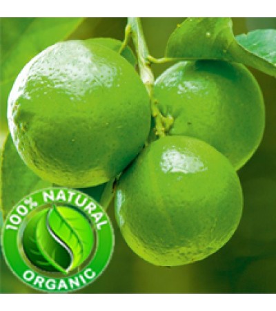 Lime Essential Oil Organic (Shri Lanka)