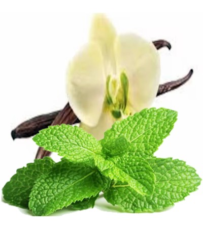 Minty Vanilla Fragrance Oil