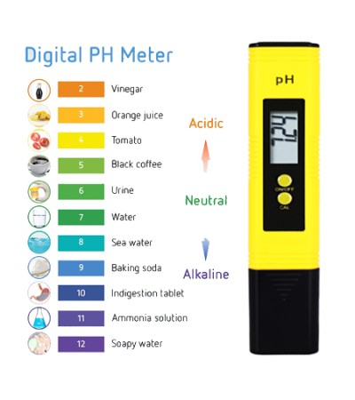 pH Tester Meter