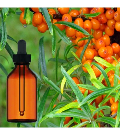 Sea Buckthorn Tincture Organic