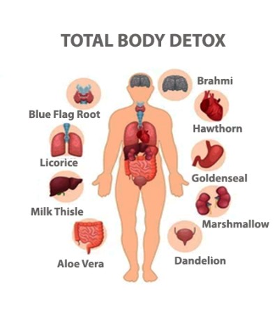 Total Body Detox Tincture