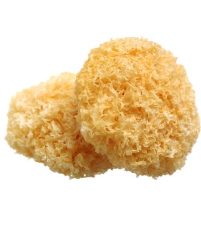 White Fungus Snow Mushroom Whole Organic