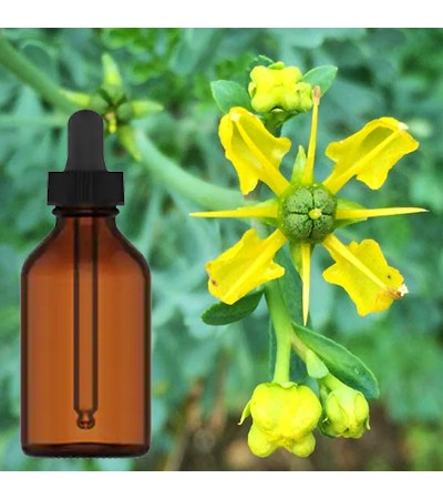 Rue Herb Tincture