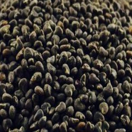 BEEJBAND SEED WHOLE