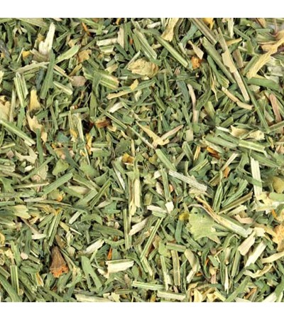 Skullcap Herb Cut & Sifted