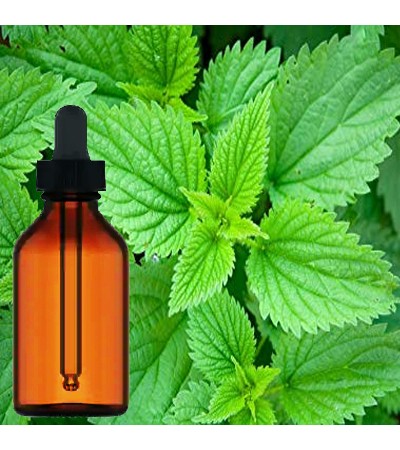 Stinging Nettle Tincture