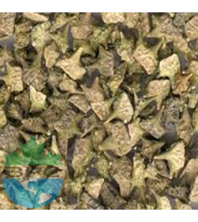 GOKSURA (TRIBULUS) WHOLE