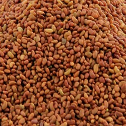 ASALIA SEED WHOLE