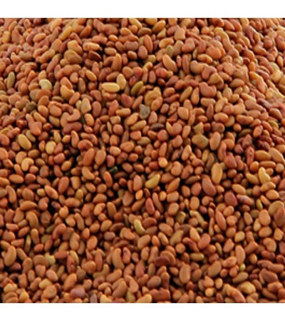 ASALIA SEED WHOLE