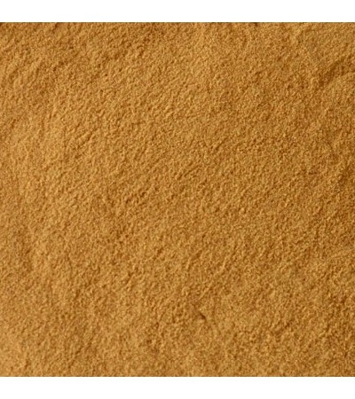 Astragulus Root P.E. 4:1